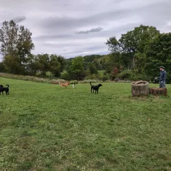 Lake Metroparks Farmpark - Mentor