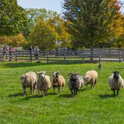 Lake Metroparks Farmpark - Mentor