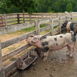 Lake Metroparks Farmpark - Mentor