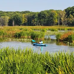Mentor Lagoons Nature Preserve - Mentor