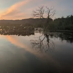 Mentor Lagoons Nature Preserve - Mentor