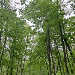 New Albany Community Center - New Albany