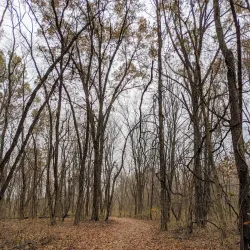 New Albany Nature Preserve - New Albany