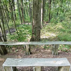 New Albany Nature Preserve - New Albany