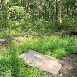 New Albany Nature Preserve - New Albany