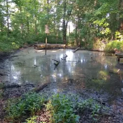 New Albany Nature Preserve - New Albany