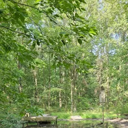 New Albany Nature Preserve - New Albany