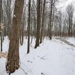 New Albany Nature Preserve - New Albany