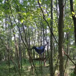 New Albany Nature Preserve - New Albany