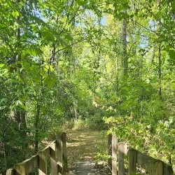New Albany Nature Preserve - New Albany