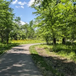 The New Albany Sculpture Park - New Albany
