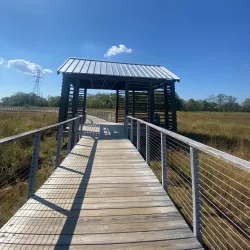 The New Albany Sculpture Park - New Albany