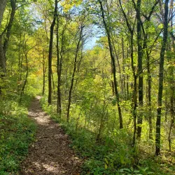 Blackhand Gorge State Nature Preserve - Newark
