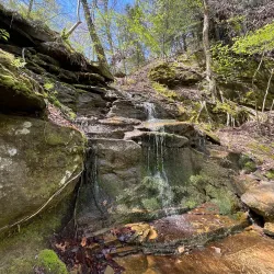 Blackhand Gorge State Nature Preserve - Newark