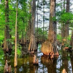 Dawes Arboretum - Newark