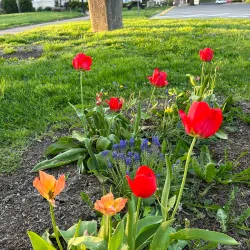 Licking County Historical Society Museum - Newark