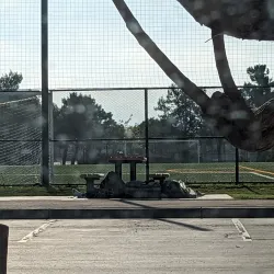 Newark Skate Park - Newark