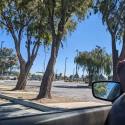 Newark Skate Park - Newark