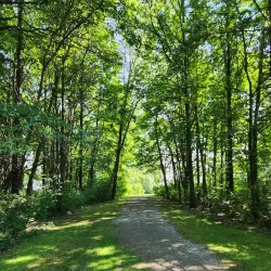 Mosquito Lake State Park - Newton Falls