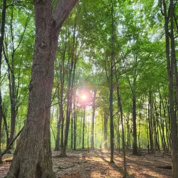 Mosquito Lake State Park - Newton Falls