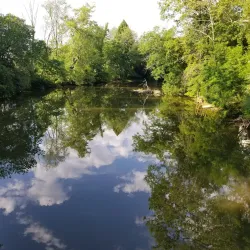 Newton Falls Covered Bridge - Newton Falls