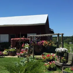 Talawanda Farmers Market - Oxford