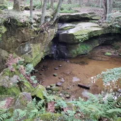 West Woods Park - Salem