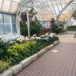 Franklin Park Conservatory and Botanical Gardens - Springfield