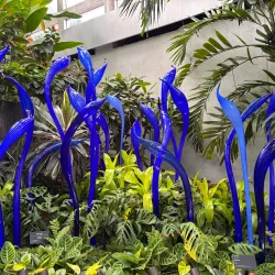 Franklin Park Conservatory and Botanical Gardens - Springfield