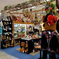 Springfield Antique Mall - Springfield