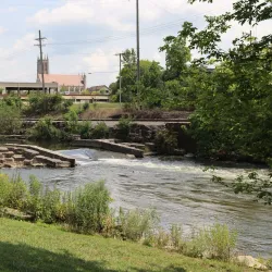 Springfield Museum of Art - Springfield