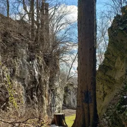 Wilson Memorial Park - Springfield