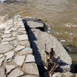 Wilson Memorial Park - Springfield