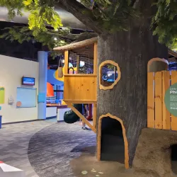 Imagination Station - Toledo
