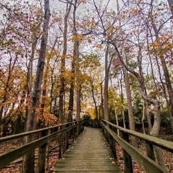 Maumee Bay State Park - Toledo