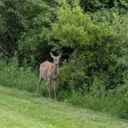 Maumee Bay State Park - Toledo