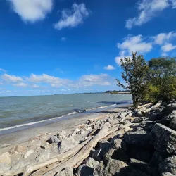 Maumee Bay State Park - Toledo