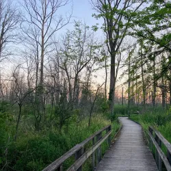 Maumee Bay State Park - Toledo