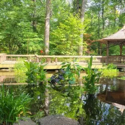 Toledo Botanical Garden - Toledo