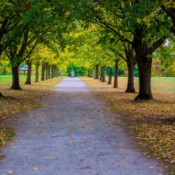 Toledo Botanical Garden - Toledo