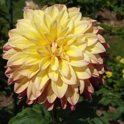 Toledo Botanical Garden - Toledo