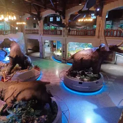 Toledo Zoo & Aquarium - Toledo