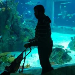 Toledo Zoo & Aquarium - Toledo