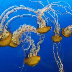 Toledo Zoo & Aquarium - Toledo