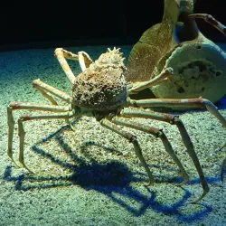 Toledo Zoo & Aquarium - Toledo