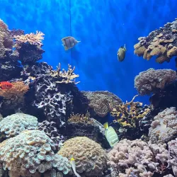 Toledo Zoo & Aquarium - Toledo