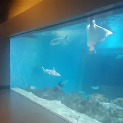 Toledo Zoo & Aquarium - Toledo