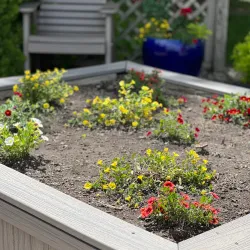 Memorial Park - Van Wert