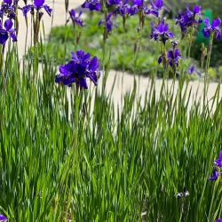 Memorial Park - Van Wert