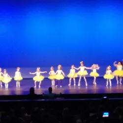 The Niswonger Performing Arts Center - Van Wert